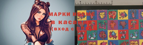 стаф Абинск