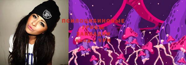 не бодяженный Бикин