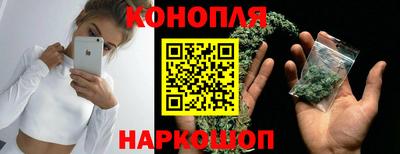 мдпв Бердск